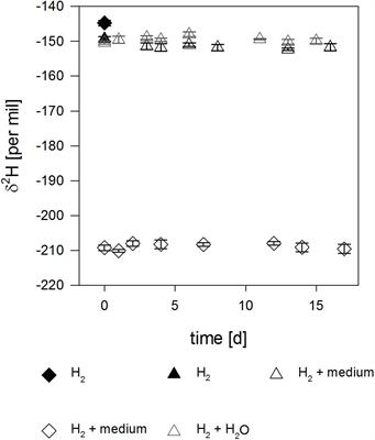 H2 Kinetic Isotope Fractionation Superimposed by Equilibrium Isotope Fractionation During Hydrogenase Activity of D. vulgaris Strain Miyazaki